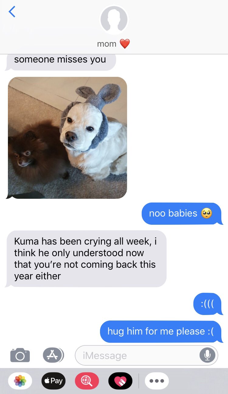 C On Twitter Babies Https T Co Mkj4ltgcwh Twitter