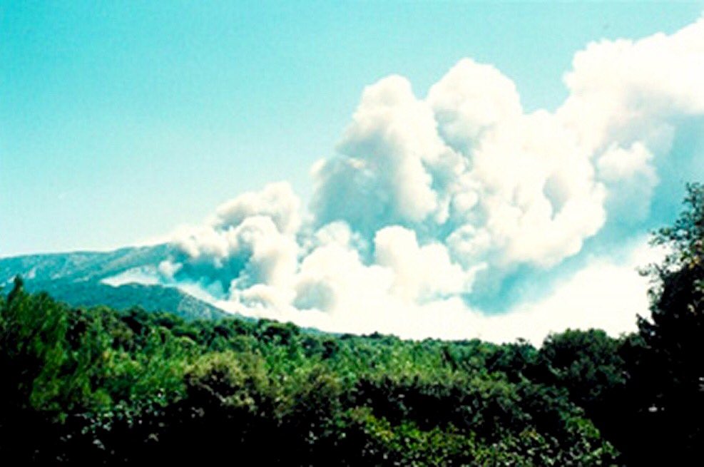 pompiersMimet's tweet photo. Il y a 30 ans... 🔥 

📽Nous sommes le 28 août 1989, un incendie de forêt vient de démarrer, près de Saint-Marc Jaumegarde, attisé par un violent mistral qui va rapidement le propager..

Au 31 Août, le feu aura détruit 5000 hectares.. 

@Pompiers_13 @udsp13 @AllioneFNSPF https://t.co/I7W8HGzZjl