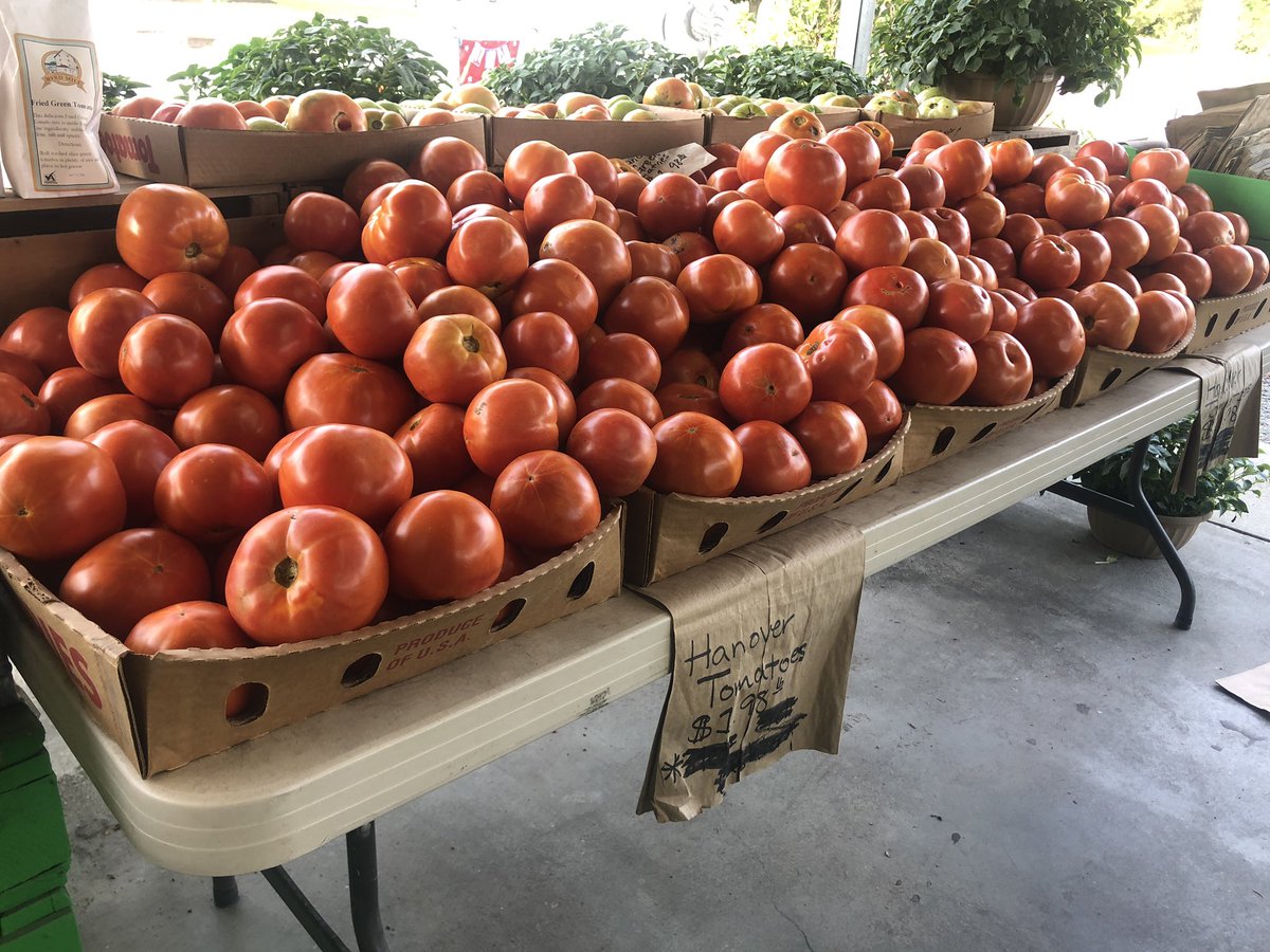 tamaraletter's tweet photo. @Mo_physics @AnnickRauch @TaraMartinEDU @tishrich @bbray27 @burgessdave @AllysonApsey @lauriesmcintosh @NowakRo @OrganicLeaderVB @BarbaraGruener Lots of great prices at Pole Green produce! And they have so many tomatoes to choose from! #passionforkindness #HanoverTomato #rva https://t.co/2x60N25IGL