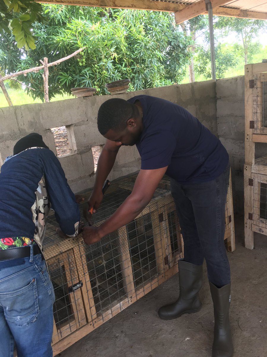 johndumelo's tweet image. Yesterday my farm carpenter failed to show up....so I had to do it myself. I think I did a good job. #proudfarmer #agric #grasscutter #idey4u