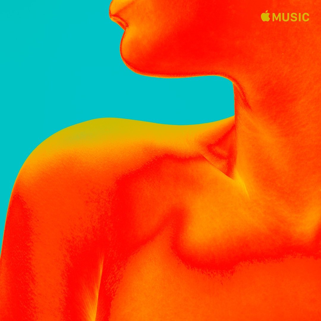 Meynberg tweet media