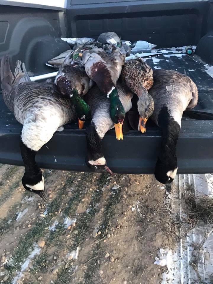 Submission Outdoors (@submsnoutdrs) on Twitter photo 