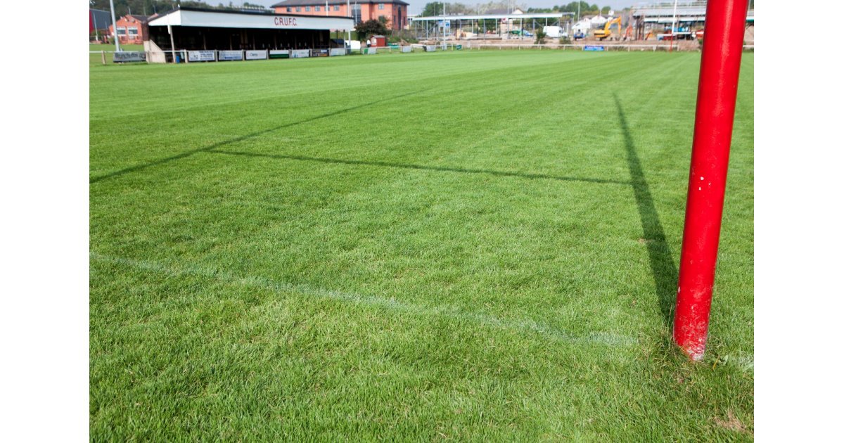 Basildon Rugby tweet media