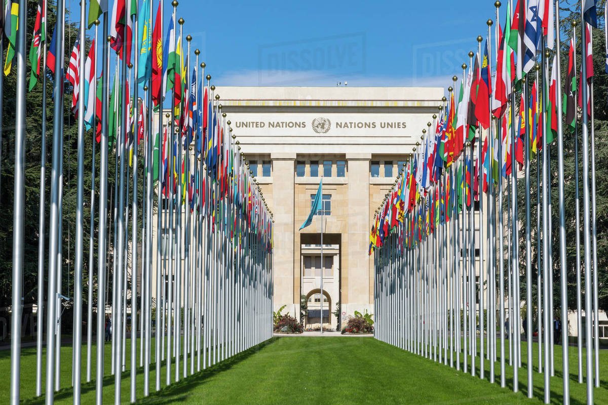 Diplomat_Inno's tweet photo. Day 3 of the @WFUNA Youth Human Rights Training in Geneva. It is a great learning experience for we youth from around the world. We look forward to implementing Human Rights Projects in communities and continously working for a better humanity. #HRAction #UNgen #WFUNA #UNAU https://t.co/LBYlmaJ8Mu