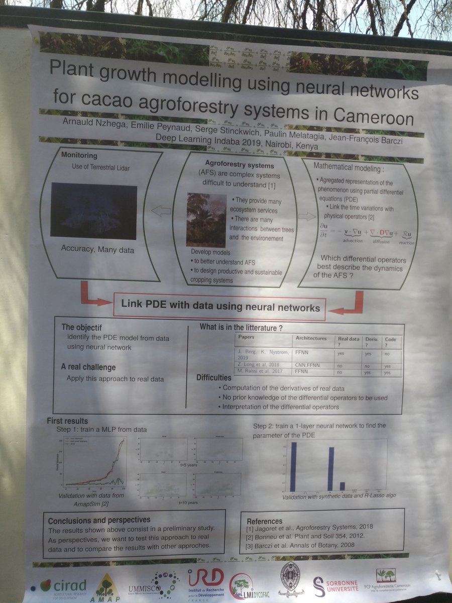 Presenting now our team work on the #Deep2PDE project at #DLIndaba19. When AI and math modeling helps us to better understand agroforestry systems in Cameroon with <a href="/SergeStinckwich/">Serge Stinckwich</a> <a href="/arnauld_nzegha/">Arnauld NZEGHA</a> <a href="/melatagia/">Melatagia Paulin</a>