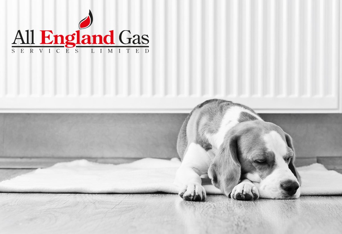 All England Gas tweet media