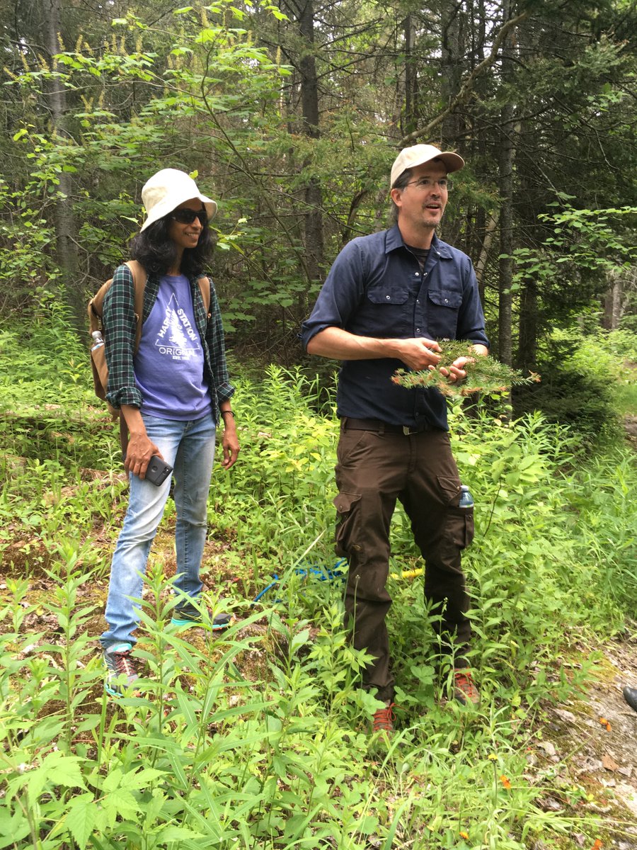 ProjectHOMED's tweet photo. HOMED partners at the IUFRO in Quebec, Canada! 🌎
Talking about population dynamics and integrated management of #forestinsects 🌳
#foresthealth #pests https://t.co/i8uJBc2x34