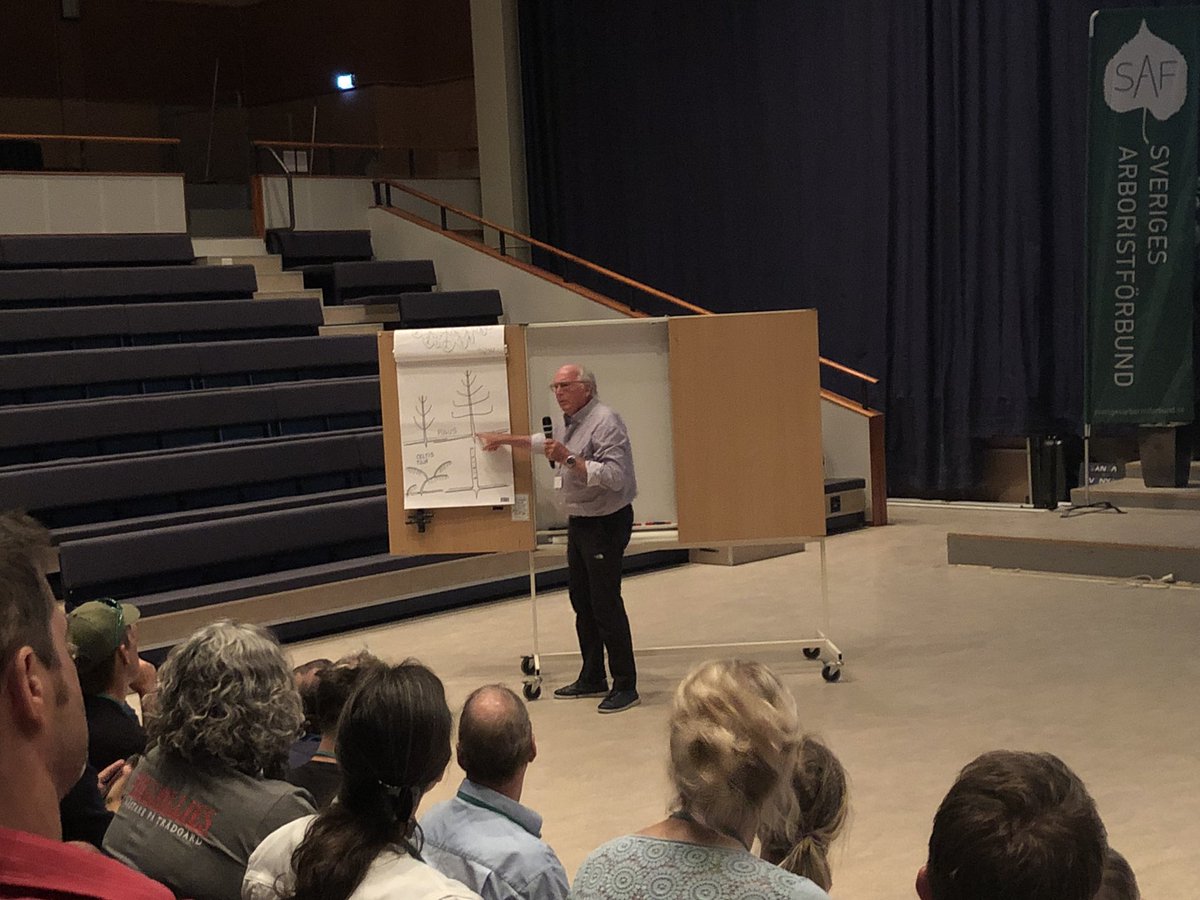 johntree1981's tweet photo. A real privilege to hear Frances Hallé speak about tree architecture and non-Linnaean botany here in #Sweden at the launch of #VetCert. A fascinating and thought-provoking lecture. @ArbAssociation @AncientTreesATF @LucioMontecchio @TiCLme @LTOA33 @TheICF #trees https://t.co/9JeT2U6CQt