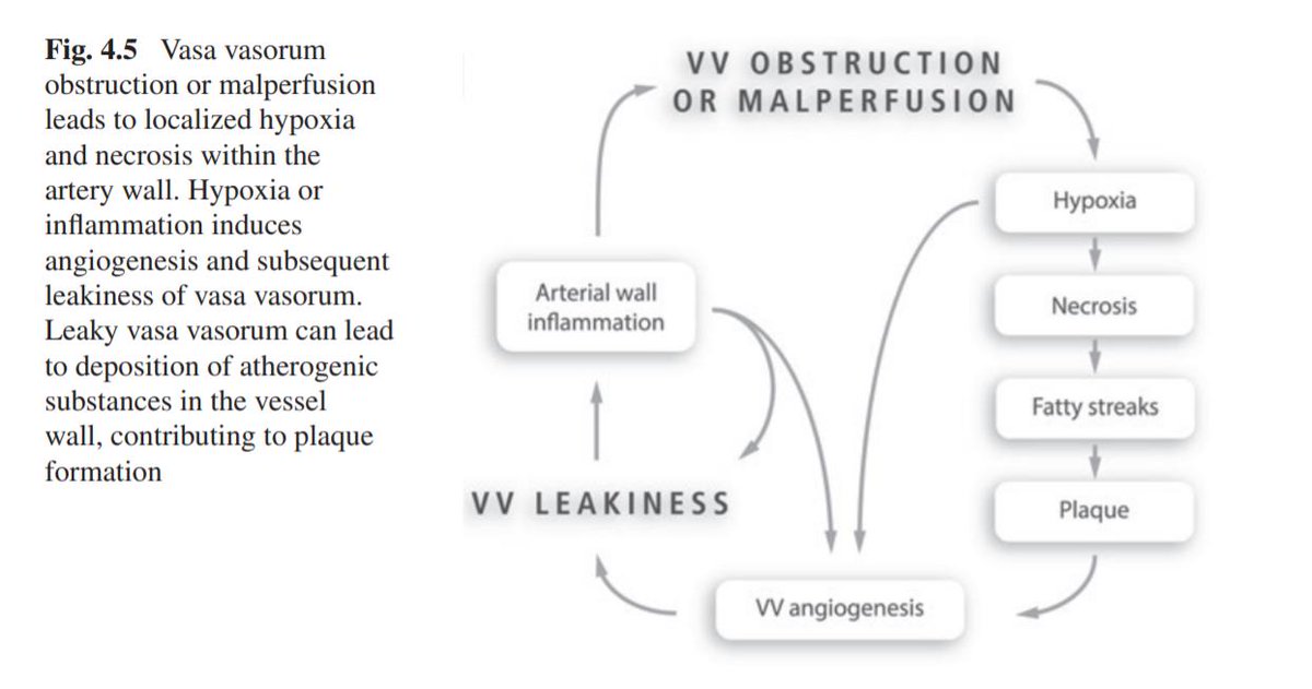 Emotionalizing Organizations And