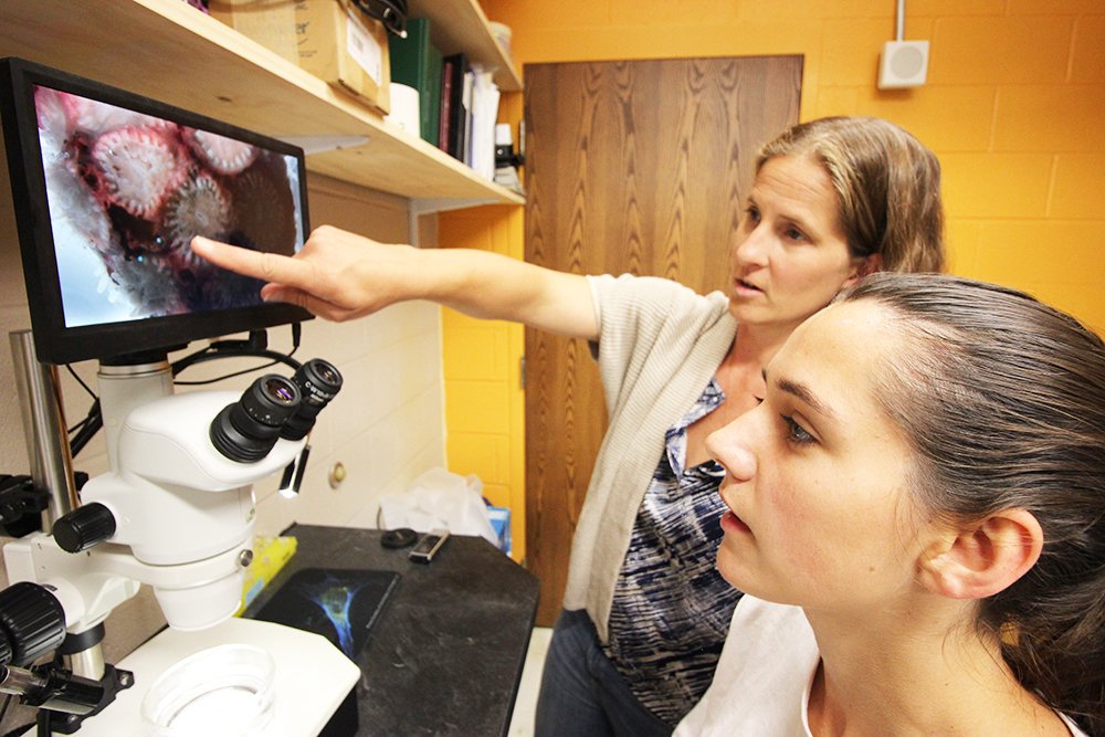 A big TY to <a href="/EPSCoR_IDeA/">EPSCoR/IDeA Coalition</a> for highlighting 2018 SURF Leah Hintz' research on microplastics in Narragansett Bay w/ <a href="/SharpKoty/">Dr. Koty Sharp</a>, work which Dr. Sharp is continuing today! #NSFFunded #SURF #microplastics 

epscorideafoundation.org/resources/stud…