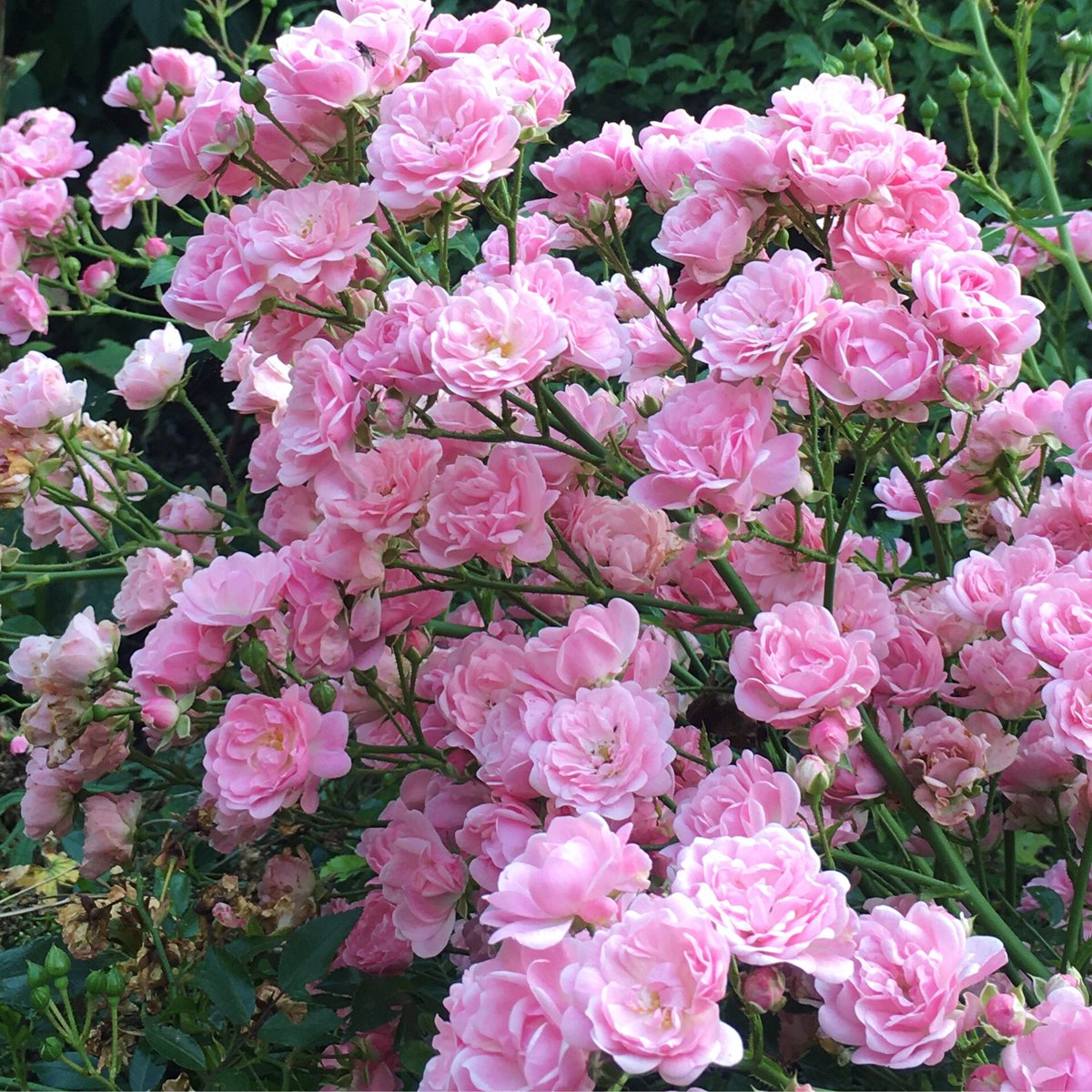 Kate & Tamara tweet media