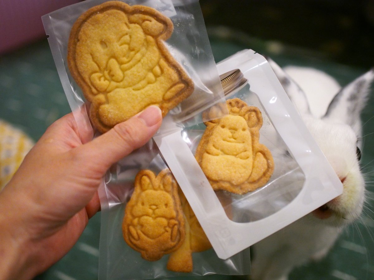 Schinako Moriyama Illustrator うさぎさんとチンチラさんの めちゃくちゃかわいいクッキー Coreさん Core のクッキー型 販売用の使用可なんですって こんなかわいいクッキー見たことないです そして美味しい