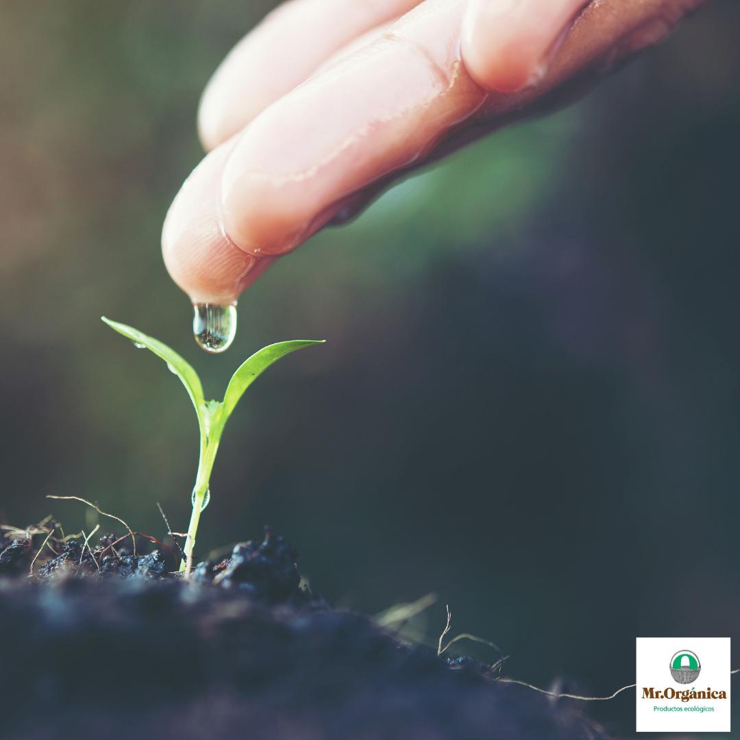 🌱💦 El sector ecológico protege el agua, aumenta la fertilidad del suelo y fortalece la biodiversidad; protege el clima, es saludable desde un enfoque integral y asegura los fundamentos de vida. 💚

#sectorecológico #agriculturaecológica