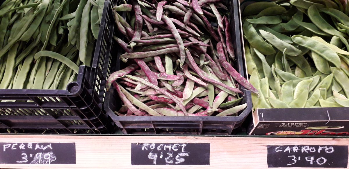 MRElectrique's tweet image. 💚 #Mareny