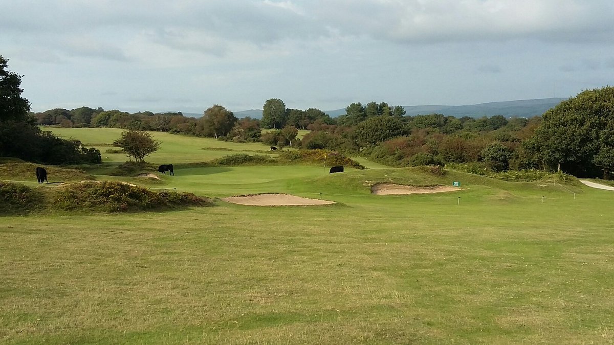 MrEdwardLight's tweet image. Returned with my bro to our golfing roots @Yelvertongolf,  Dartmoor. The usual fun avoiding the wildlife! Round in 2hrs 55, course in superb shape. Fun, natural golf, still some strong holes witholding today's technology. Great to be back. @AlanShipnuck you'd love it.