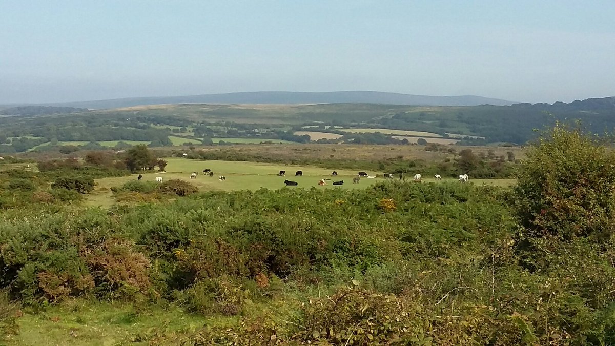 MrEdwardLight's tweet image. Returned with my bro to our golfing roots @Yelvertongolf,  Dartmoor. The usual fun avoiding the wildlife! Round in 2hrs 55, course in superb shape. Fun, natural golf, still some strong holes witholding today's technology. Great to be back. @AlanShipnuck you'd love it.