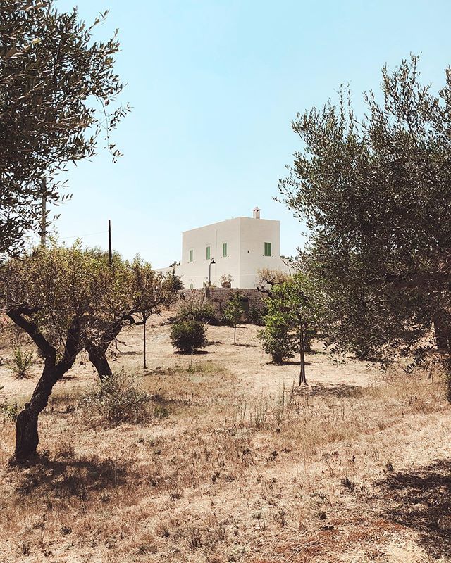 Puglia is the region where olive trees beautifully frame your pictures.
💚

_
#weareinpuglia #puglia #countryside #castellanagrotte #apulia #igerspuglia #volgopuglia #puglialovers #pugliastyle #masseria #pugliamoremio #masseriafenicia #whatitalyis ift.tt/2NFzNHt