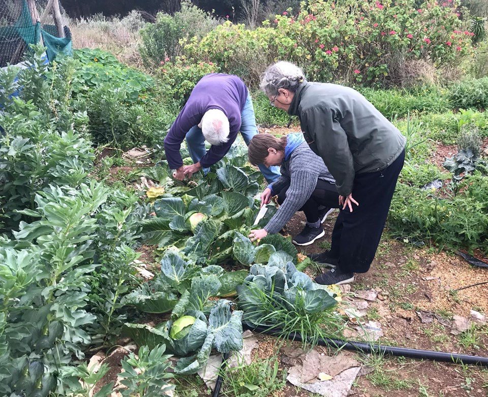 SwellendamS's tweet photo. It was so amazing to visit Seon Eco Farm last week, where they were busy with their Renew Reconnect Revitalize 3 day workshop. 
A practice that will help them with their over all well-being.
They also learned a lot about core breathing and gut health. 
#swellendamwinterschool https://t.co/OEkDMNULnT
