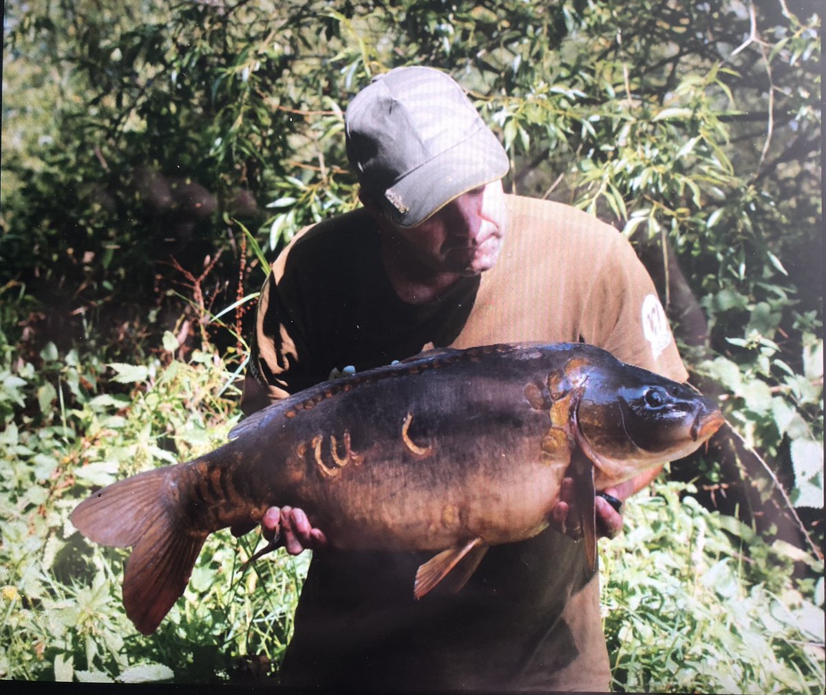 littleE70's tweet photo. This awesome looking very dark mirror took a liking to the mainline essential cell freezer bait fished tight to a weed bed @MainlineBaits https://t.co/J0r1pFD6nd