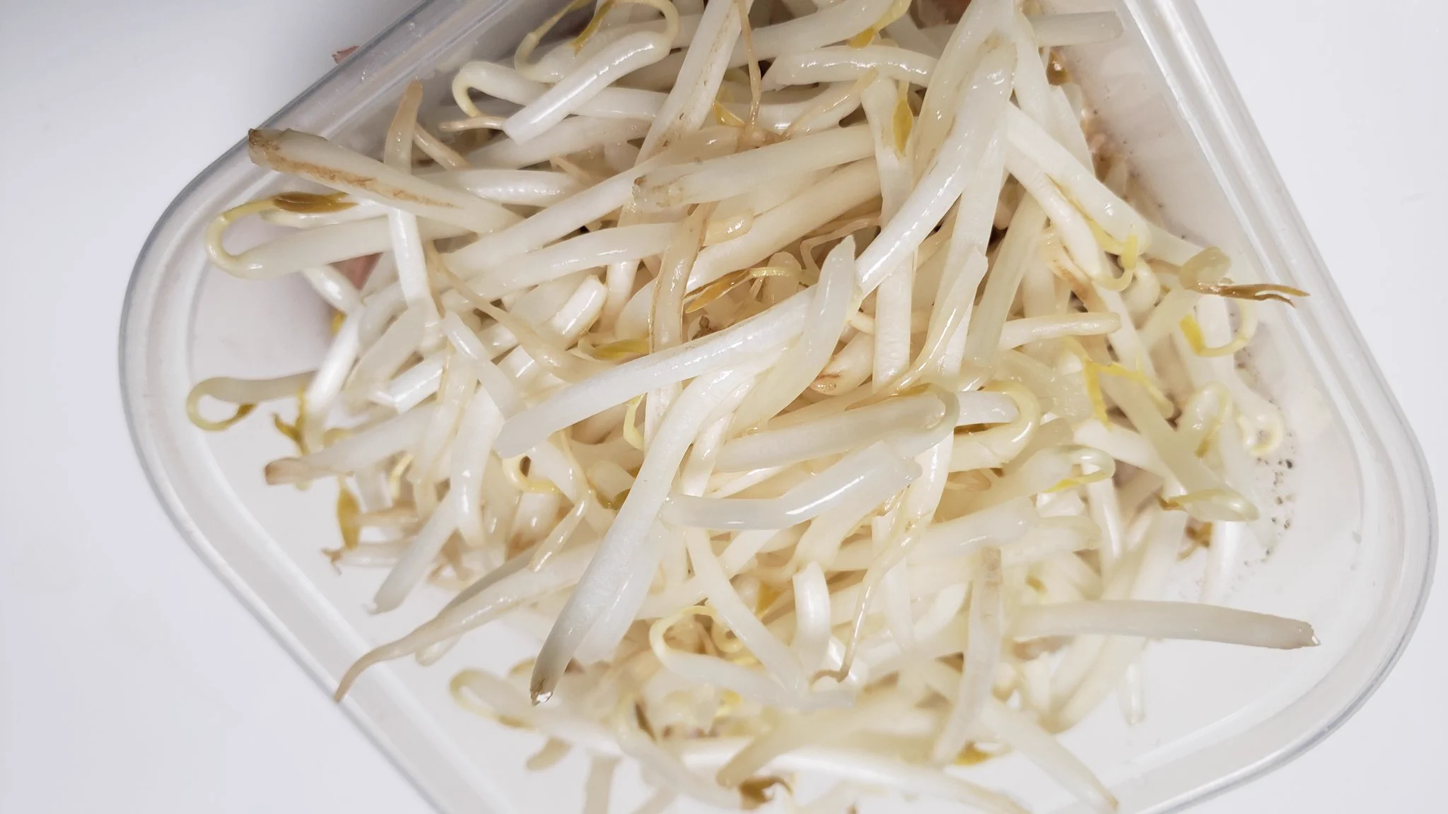 もやしと挽肉だけで簡単に作れる！？「レンジもやし肉あんかけ」の作り方！