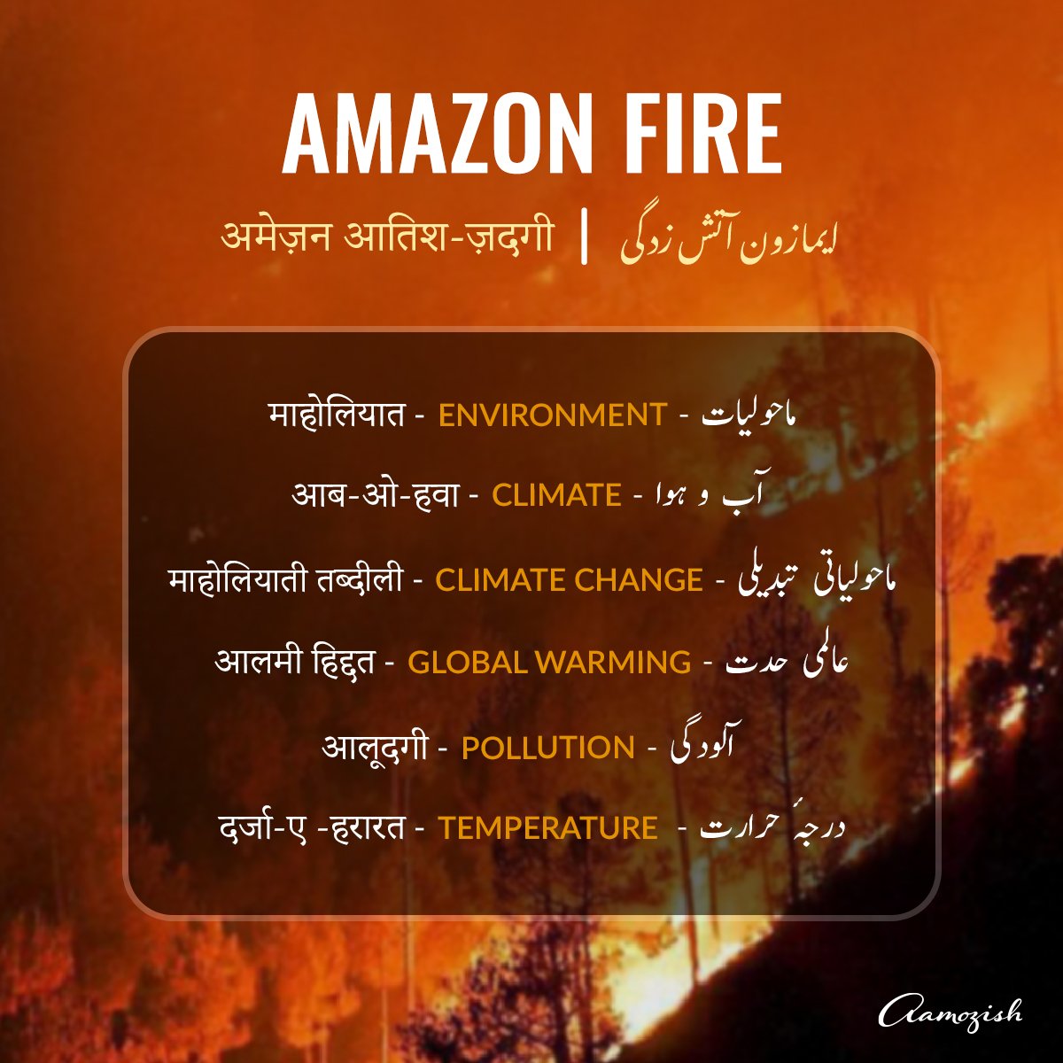 #AmazonFire
Learn some Urdu words related to 'Environment'.
Comment more such words if you know!

<a href="/Rekhta/">Rekhta</a> #AmazonRainforest #AmazonFires #Amazonas #Urdu #WordOfTheDay #words