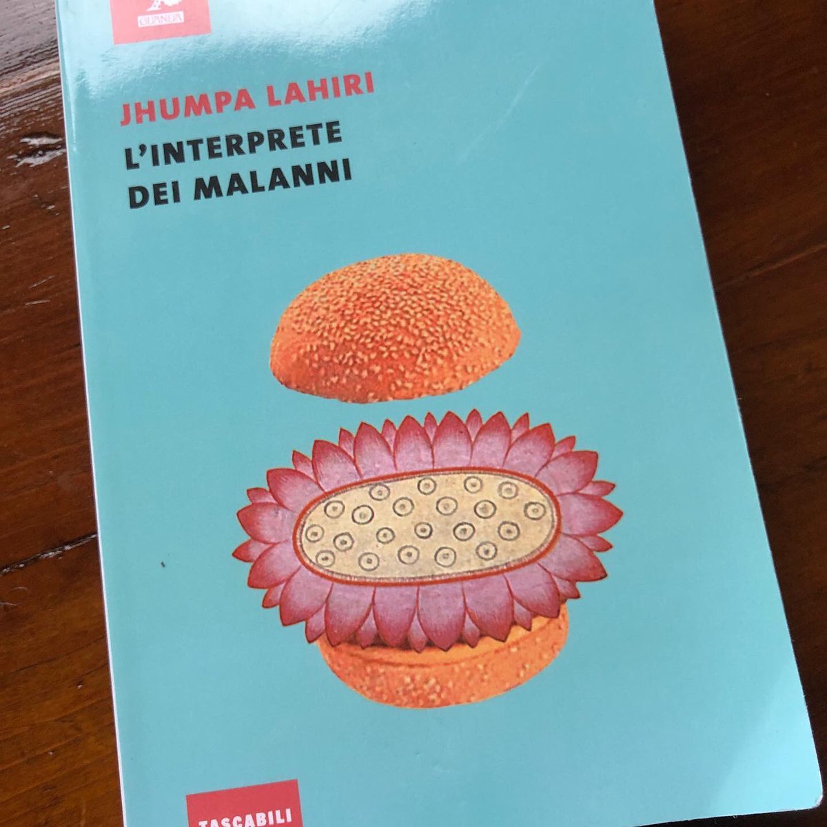 Grandeflo's tweet photo. @Pagina272 #letture2019 #32 #racconti #pulitzerprize2000 #immigrati #daleggere https://t.co/3LYfMnaI1X