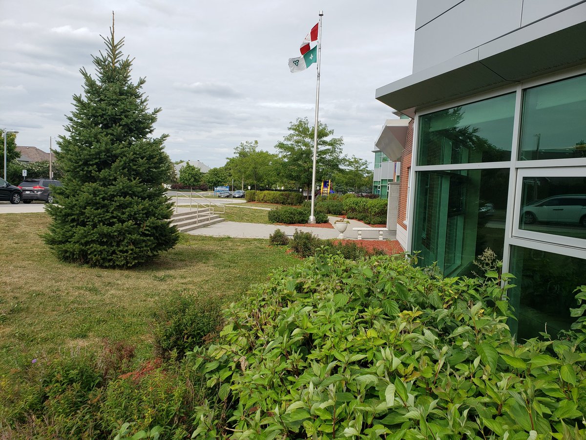 Danielle Chatelain tweet media