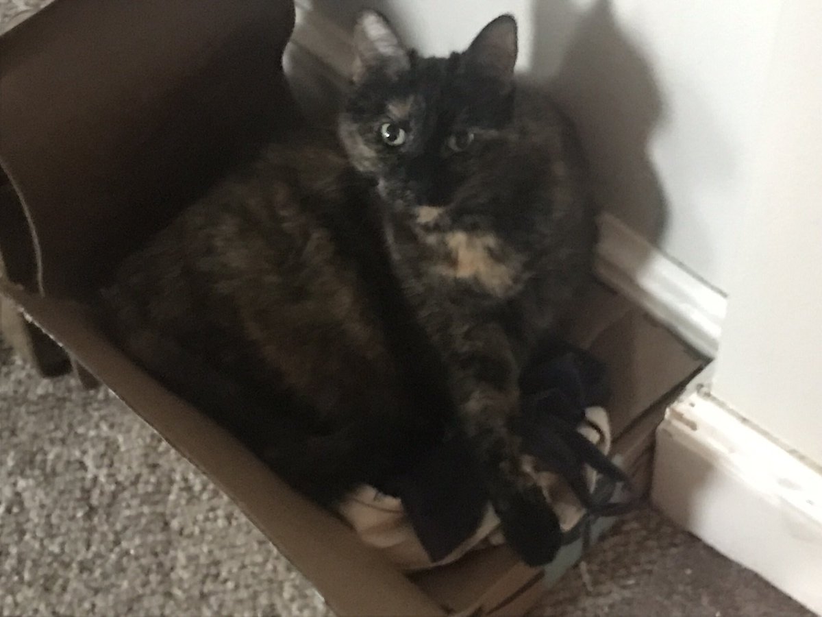 SuzanneDelle's tweet image. #CatCasting Regina is an older lady who is whip smart and sweet. Becky Baker would capture her aura