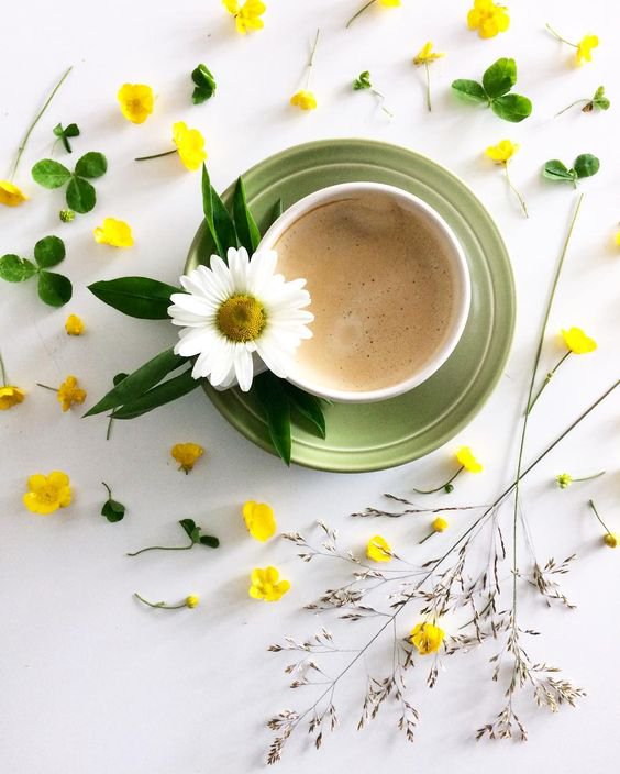 <a href="/Alvarez_mexi/">💎🌹🖤👑 MEXICANA 👑🖤🌹💎</a> Hoooola mejicanita bella!!! Un placer volver a leerte. Que tengas un maravilloso día. Un besito enorme a tu alma con el cariño de siempre 💓😘💫