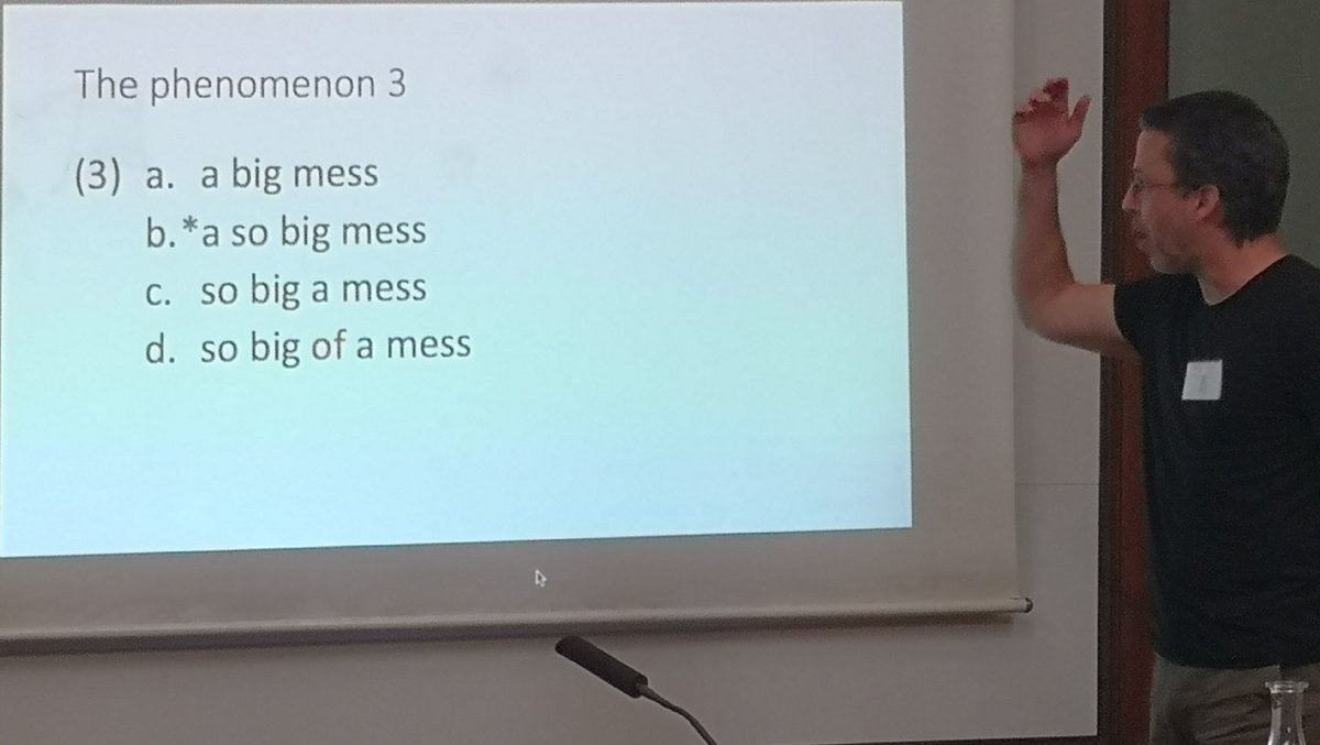 ArneKoehn's tweet image. #syntaxfest2019 Timothy Osborne on big mess constructions: why can you say &quot;so big a mess&quot; but not other things?

&quot;let&apos;s look at a dataset [shows complete dataset]&quot;

I really enjoy his talks. And his questions in other talks.