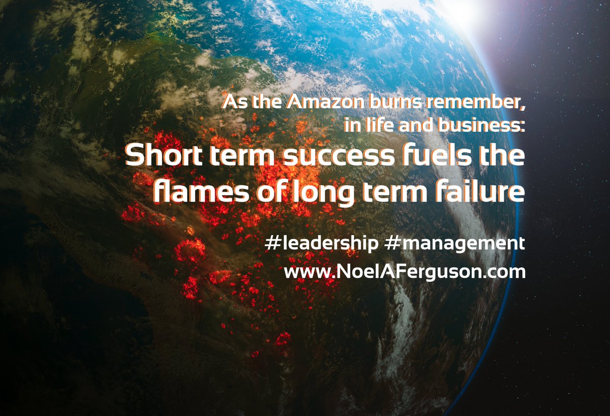 As the Amazon burns - remember, in life and business: Short term success fuels the flames of long term failure. #climate #leadership #management NoelAFerguson.com