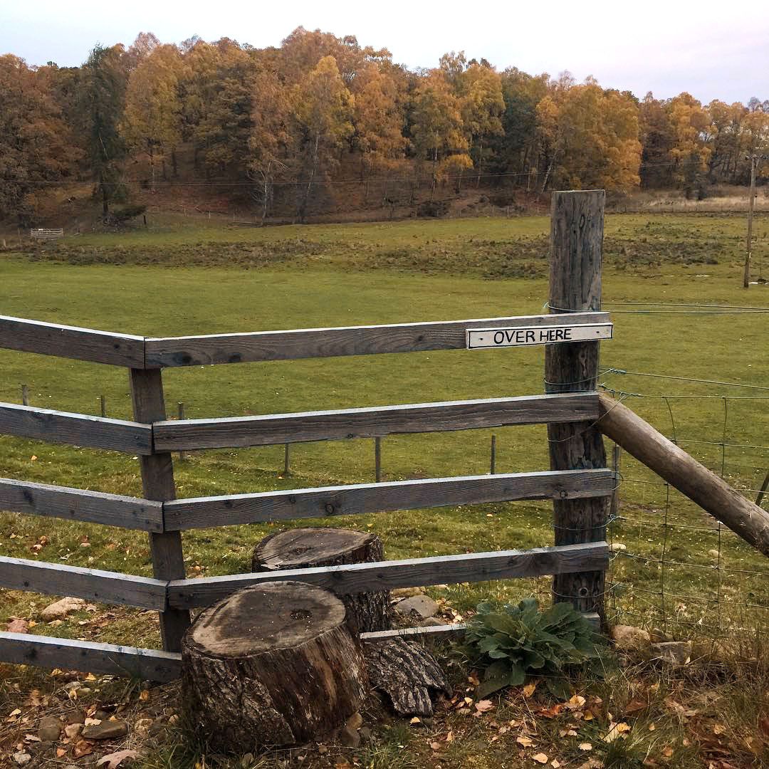 📣ANNOUNCING 📣 We are postponing our conference this October.⠀
The interest has been incredible from some truly fantastic folk. ⠀
We will be back next year with a bright new offering. Be sure to keep those eyes open. 👀⠀the WWW team. 🌲 🌿 🌿 ⠀
#DoBusinessDifferently