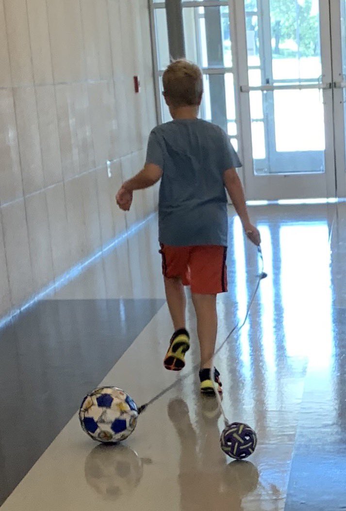 DrLCHape's tweet photo. #APE365Project2019 Find another way! Not wanting to run as part of his #APEsession warm ups, he RAN and Ran and ran w tethered balls “chasing” behind him! #Gigglingalltheway https://t.co/L7croFQqEa