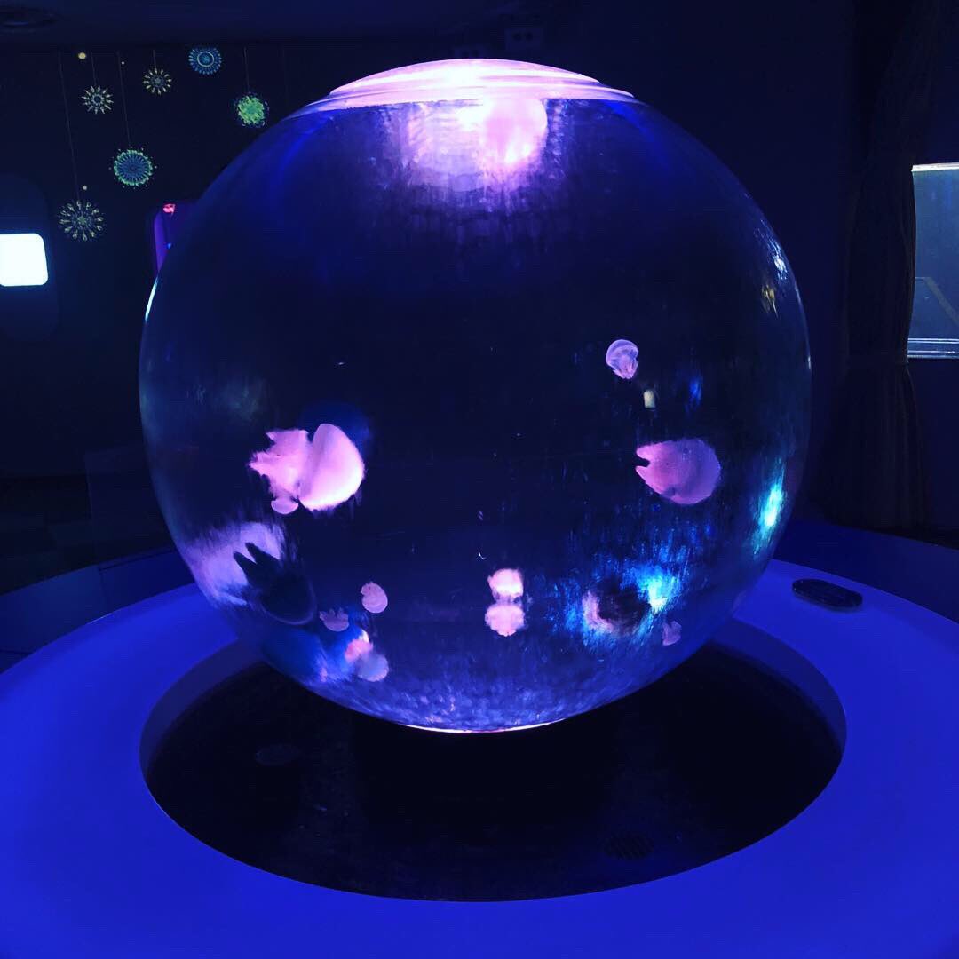 Runa_130302's tweet photo. 水族館

#水族館 #クラゲ #インスタ映え #綺麗
#少しでもいいなと思ったらいいね https://t.co/aDr8lghNrO