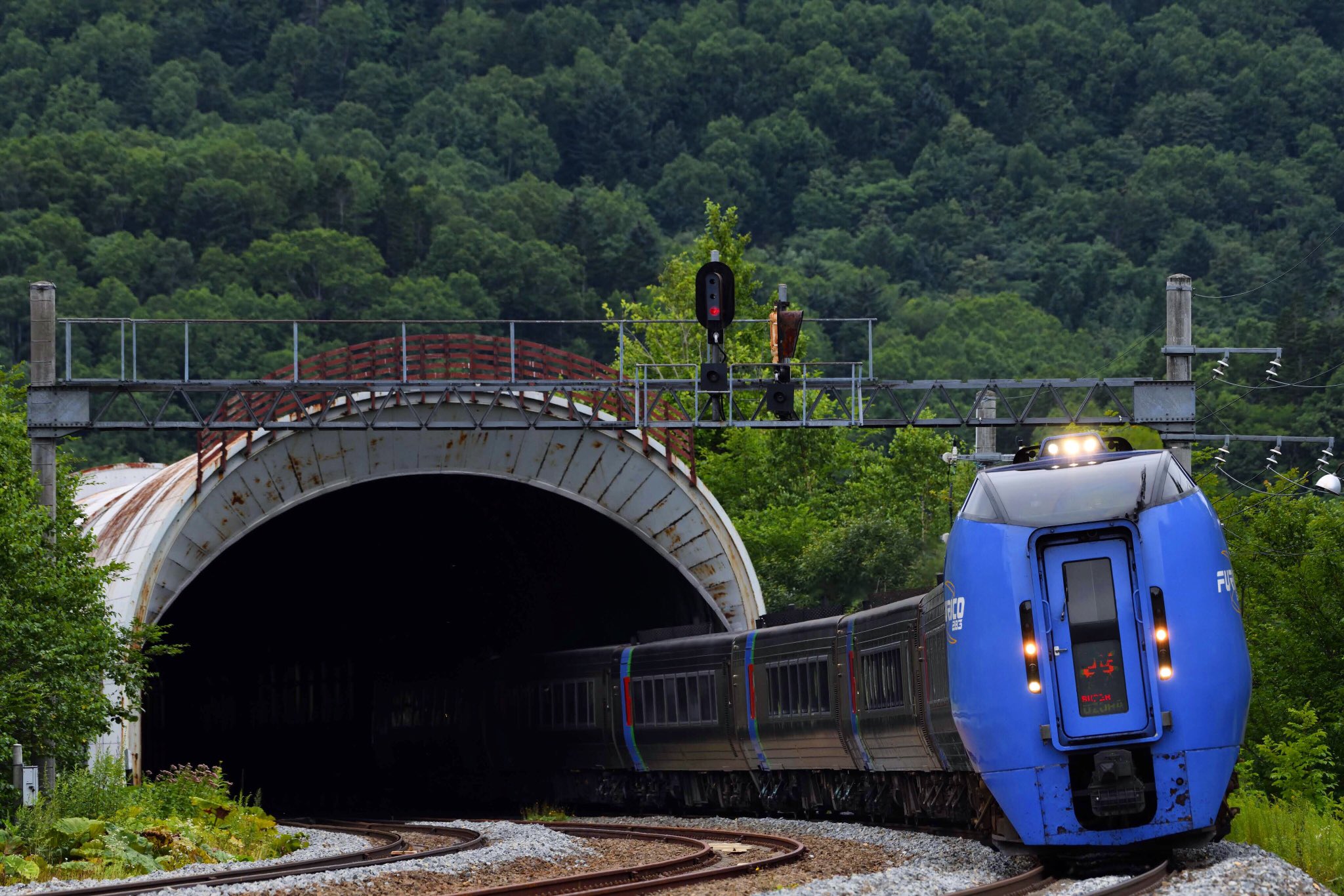 imomonta в X: „Furiko expresses (2019.8.15 4003D) #鉄道