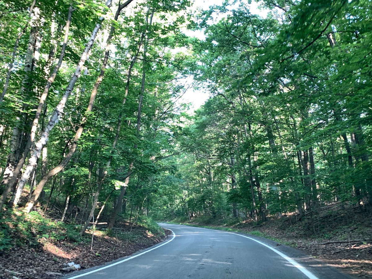 The Roads Traveled On Twitter Cruising Along M 119 Through Michigan S Famous Twisty Two Lane Tunnel Of Trees Ranked As One Of The Most Scenic Roads In The U S Tunneloftrees Michigan Roadtrip Heritagehighway Https T Co 3ac6qo1fca