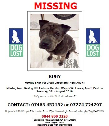 DogLostUK's tweet photo. #LOST #DOG RUBY
Female #SharPei Cross Chocolate Adult
#Missing from Basing Hill Park nr #HendonWay #NW11
Ruby was scared in the Park and ran off
Tuesday 27th August 2019
#LostDog #ScanMe @SAMPAuk_ @VetsGetScanning
https://t.co/RI0aBCZtTG https://t.co/IUcXVCZv3t