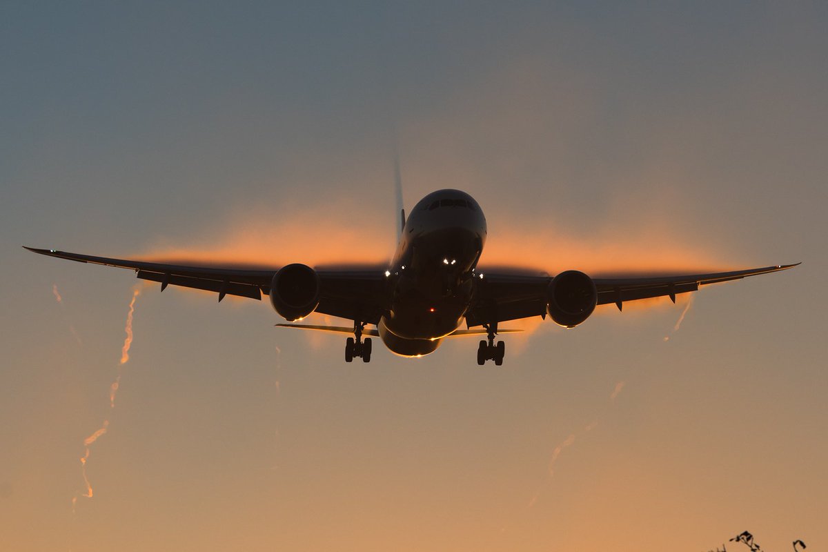 Spotterdiary2's tweet photo. I really love autumn mornings. π₯°βοΈπΈ
Isn't she beautiful?
#airindia #boeing787 #dreamliner #VTANY at @HeathrowAirport as the rising sun illuminates the condensation.
#boeing #aviation #aviator #aviationpics #aircraftgallery #aviationdaily #planes #aircraft #avgeek @yourHeathrow https://t.co/YPv3aDMw90