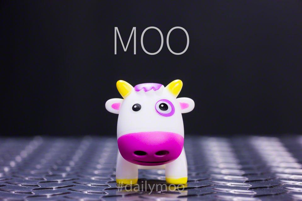 C1Mphoto's tweet photo. Your Daily Moo:
If you like daily moo memes and want to see them, please make sure to retweet them liberally. I#dailymoo #spreadthemoo #mohmoo #moomemes https://t.co/bUaUOWJOy0
