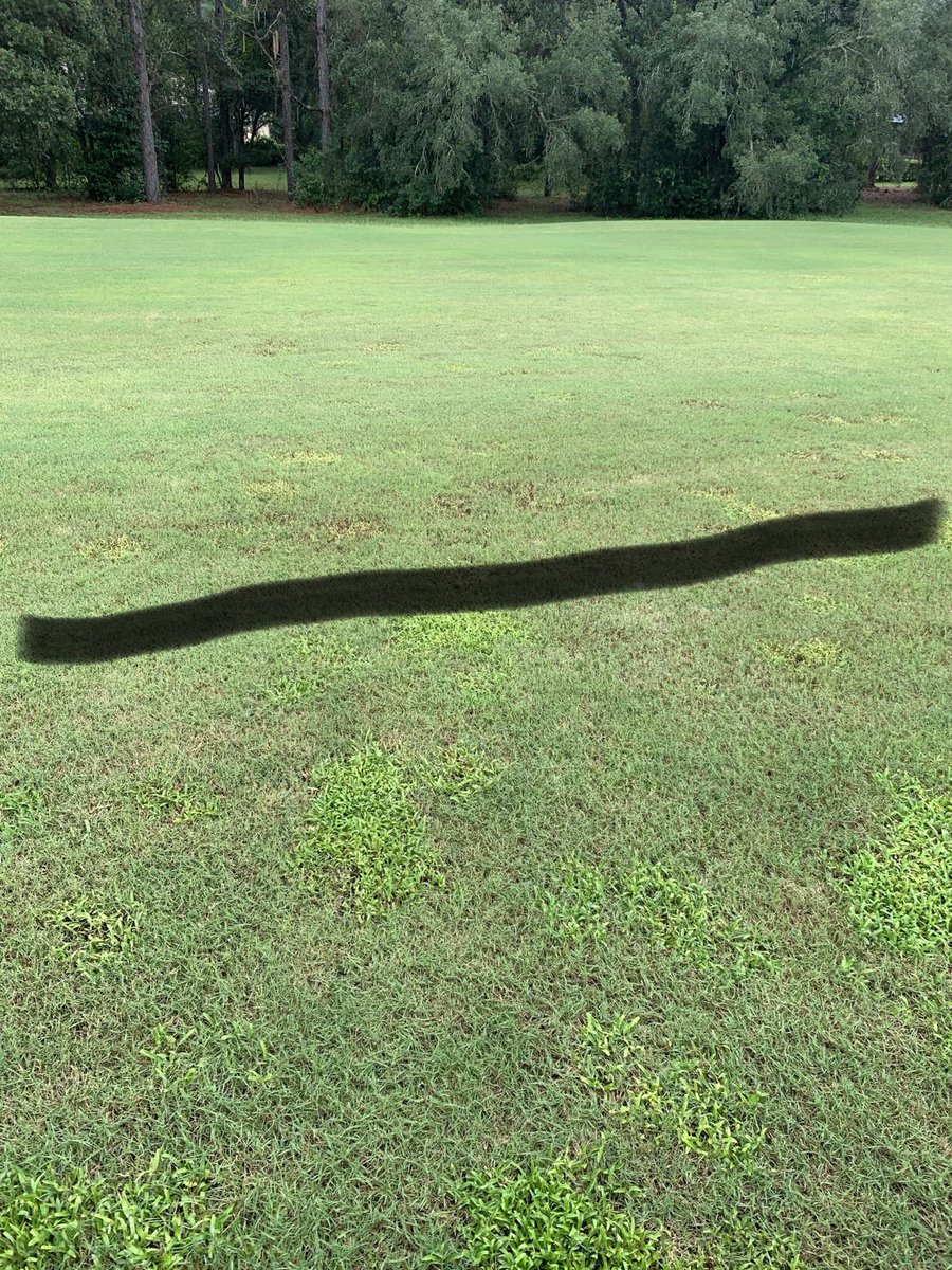Graham Kornmeyer CGCS (@grahamkornmeyer) on Twitter photo Game On with Surfactant+ Sulfentrazone top of line; Game On with Surfactant bottom of line. 5 days after treatment. 😲. Thanks <a href="/chestercu15/">Chester VandenBerg</a> for the trial Game On with Surfactant+ Sulfentrazone top of line; Game On with Surfactant bottom of line. 5 days after treatment. 😲. Thanks <a href="/chestercu15/">Chester VandenBerg</a> for the trial