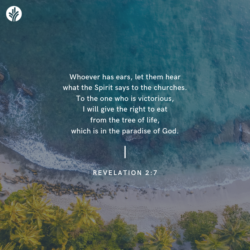 Discover The Word tweet media