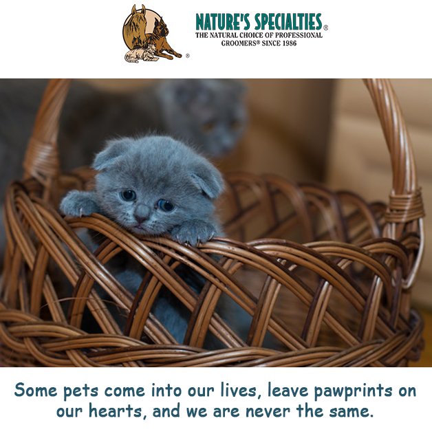 See all of our Products: naturesspecialtiesmfg.com 
#NaturesSpecialties #PetProducts #PetCare #Pets #PetSupplies #Groomers #DogsAndCats