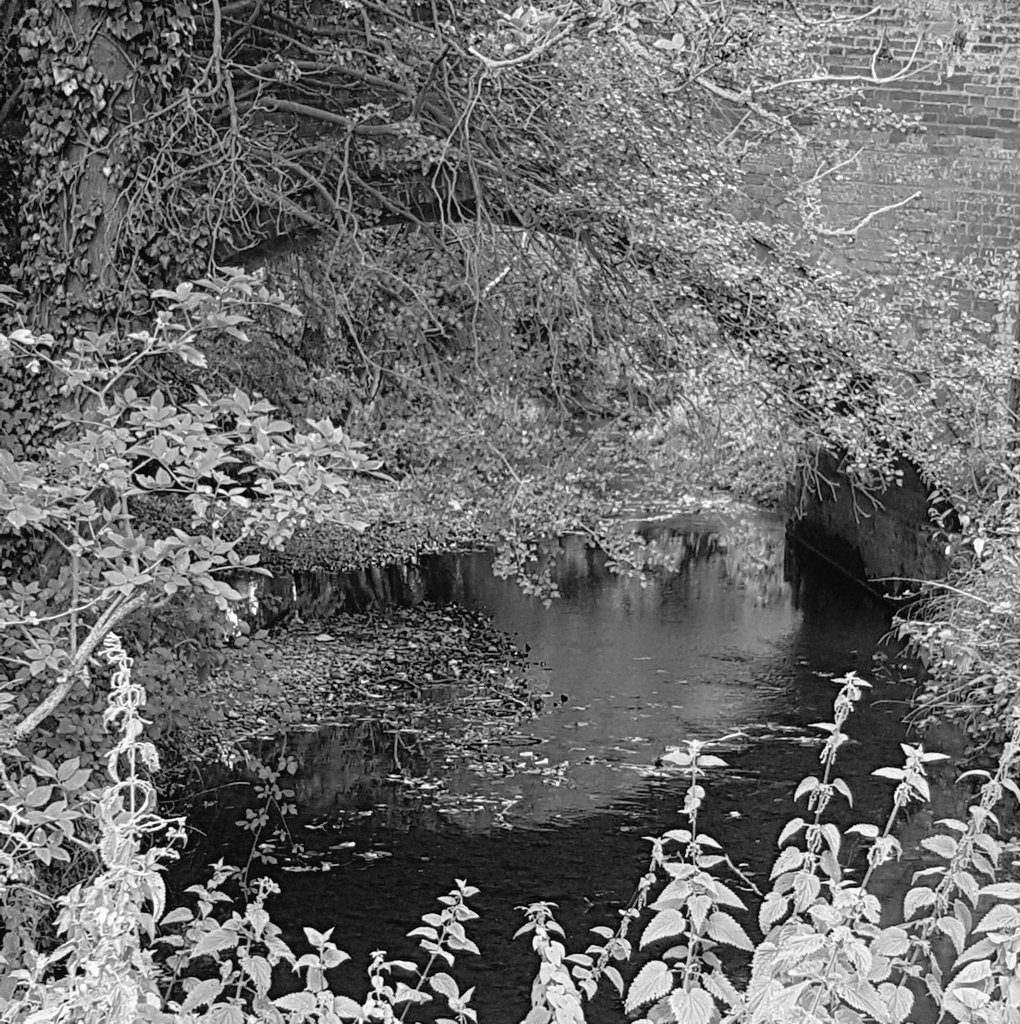 Happy_Mapper's tweet photo. Back out volunteering on the riverbank today after two months away and it felt amazing! Won't let anyone or anything put me off getting a job improving the water environment.  #tenaciousT #geomorphology #loveyourriver https://t.co/bx9PNxGMl7
