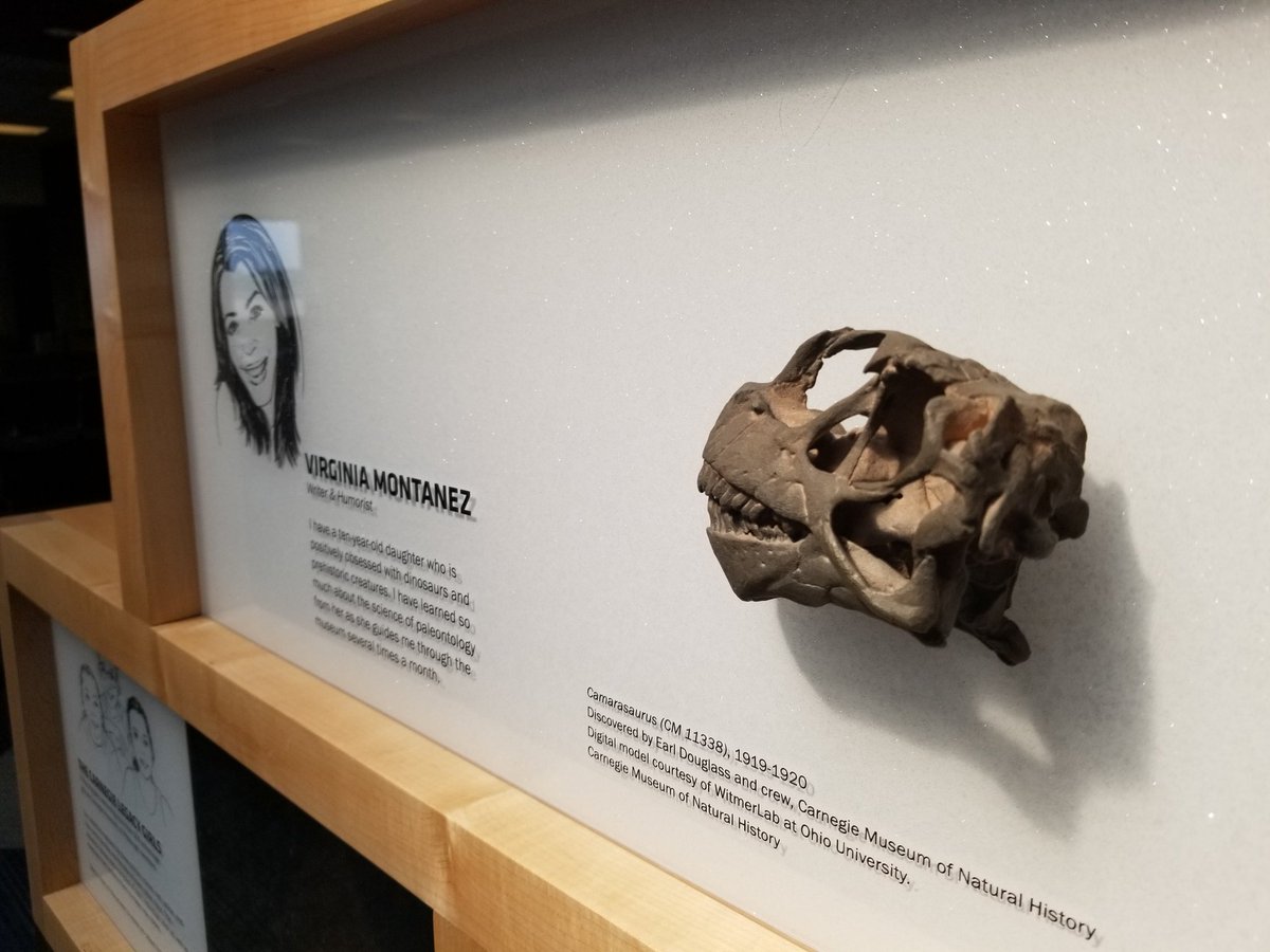 KillDevilQueen's tweet image. If you are traveling via the @PITairport this weekend, check out #CuriousCollections! De installation is in a week!
@CarnegieMembers @TheWarholMuseum @CarnegieSciCtr @CarnegieMNH @CMP_studio