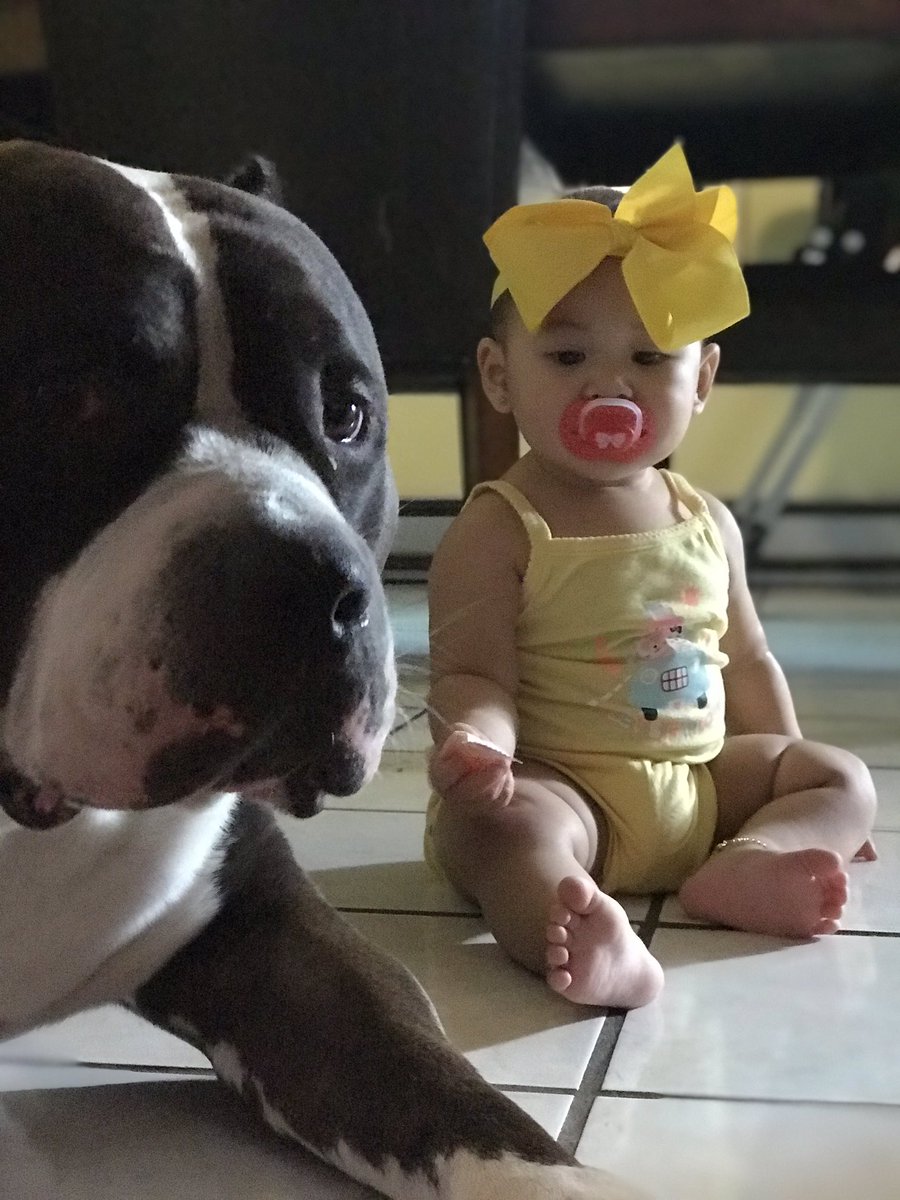 VCoco__'s tweet image. My kids 🐶👶🏻 #bullypit