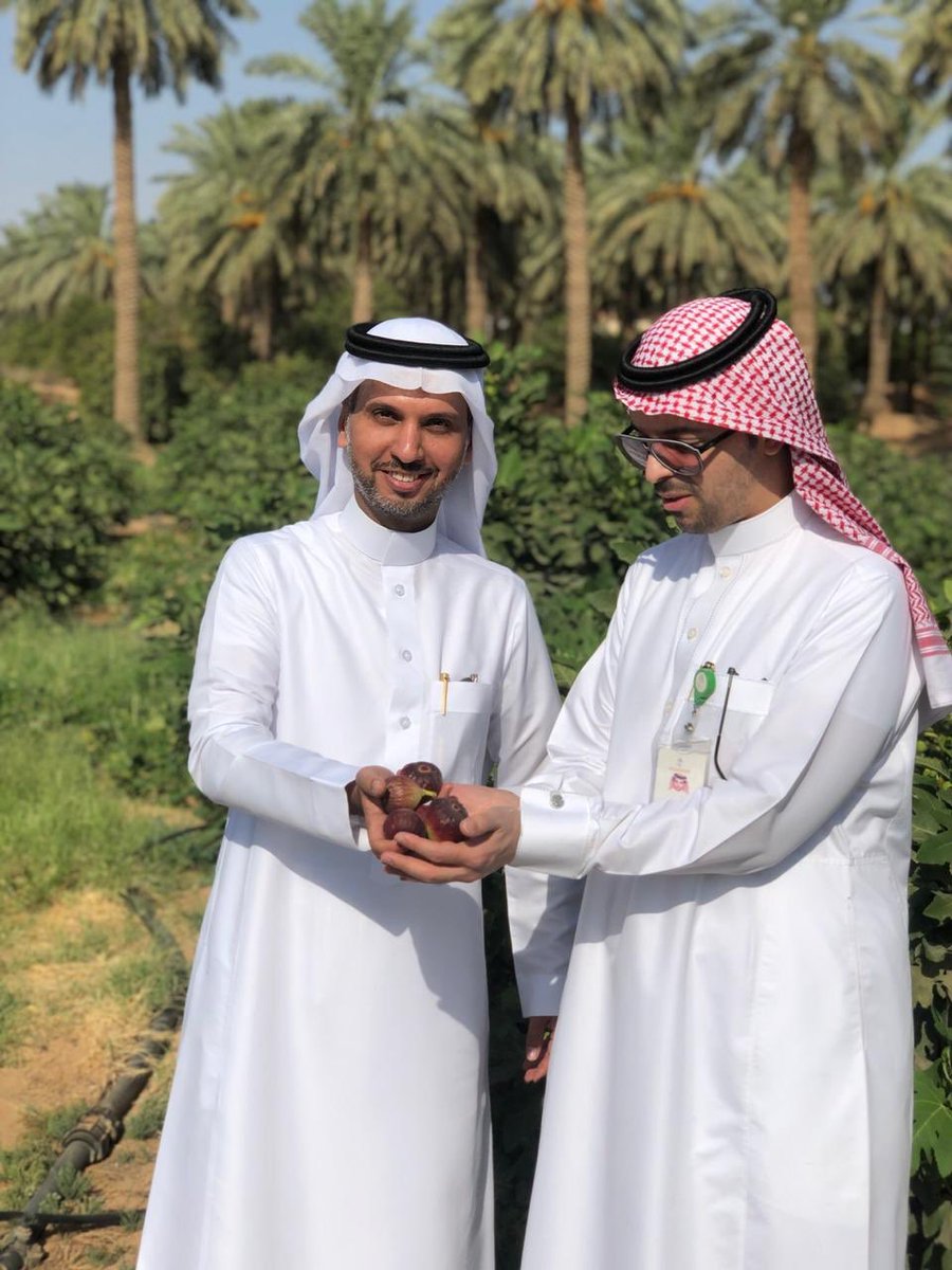 Imushiqeh's tweet photo. سعدت اليوم مع زملائي بزيارة مزارع هضيم المملوكة لأخي الأستاذ عبدالعزيز التويجري، ١٥٢ صنف من التمور وأكثر من ٤٠ صنف من أشجار الحمضيات ( ما شاء الله ) بالإضافة إلى منتجات أخرى متنوعه .. 

مشروع مميز يضاف قريباً بإذن الله لمشاريع السياحة الزراعية والريفية بالمنطقه 🌴 https://t.co/rwjwWopQOi