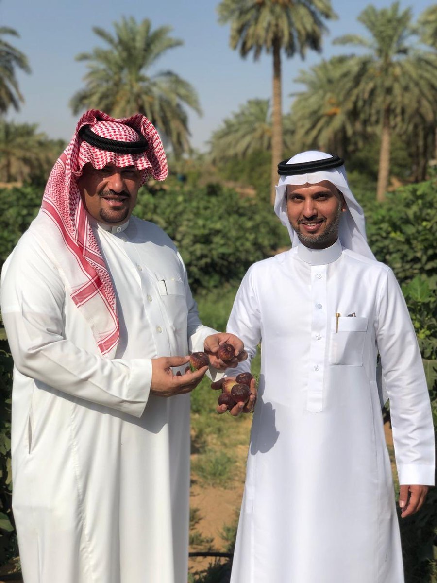 Imushiqeh's tweet photo. سعدت اليوم مع زملائي بزيارة مزارع هضيم المملوكة لأخي الأستاذ عبدالعزيز التويجري، ١٥٢ صنف من التمور وأكثر من ٤٠ صنف من أشجار الحمضيات ( ما شاء الله ) بالإضافة إلى منتجات أخرى متنوعه .. 

مشروع مميز يضاف قريباً بإذن الله لمشاريع السياحة الزراعية والريفية بالمنطقه 🌴 https://t.co/rwjwWopQOi