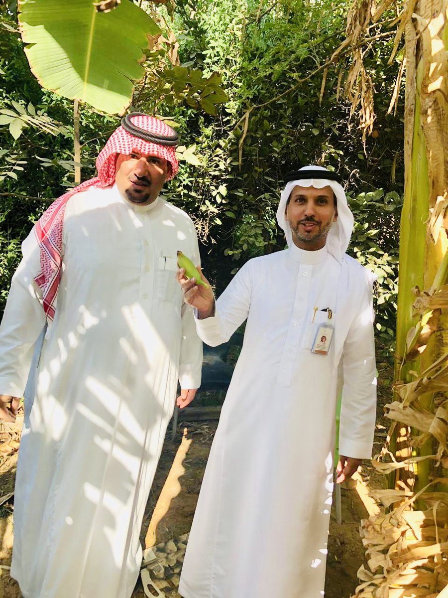 Imushiqeh's tweet photo. سعدت اليوم مع زملائي بزيارة مزارع هضيم المملوكة لأخي الأستاذ عبدالعزيز التويجري، ١٥٢ صنف من التمور وأكثر من ٤٠ صنف من أشجار الحمضيات ( ما شاء الله ) بالإضافة إلى منتجات أخرى متنوعه .. 

مشروع مميز يضاف قريباً بإذن الله لمشاريع السياحة الزراعية والريفية بالمنطقه 🌴 https://t.co/rwjwWopQOi