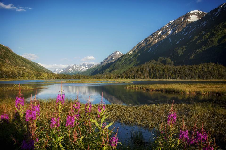 Travel Nurse Alaska - Alaska offers some of the best things around for travel nurses. Alaska offers its visitors many things to do. Among the most popular... #TravelNurseAlaska #TravelNurseBlog #wanderingnurses http://wn.test/travel-nurse-alaska/