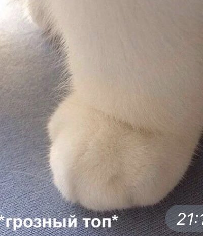Сегодня  плюс одна песня
Потому что не надо меня злить